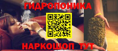 эйфоретик Аргун