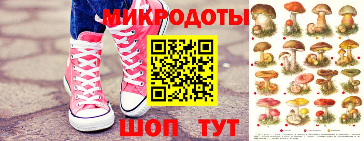 Братск  Галлюциногенные грибы MAGIC MUSHROOMS  Вход с VPN  Псилоцибиновые грибы Psilocybe 