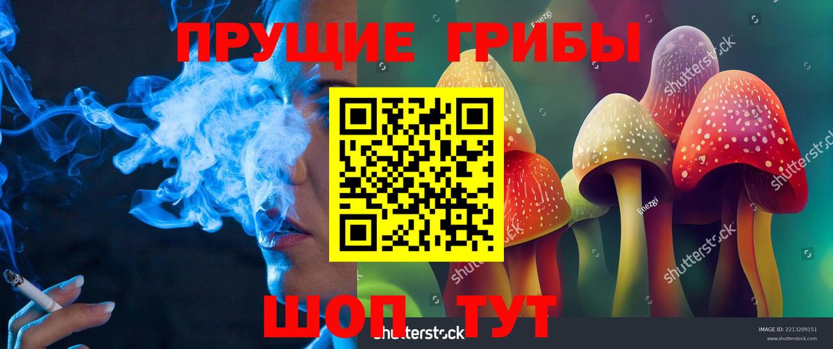 Галлюциногенные грибы Magic Shrooms Братск